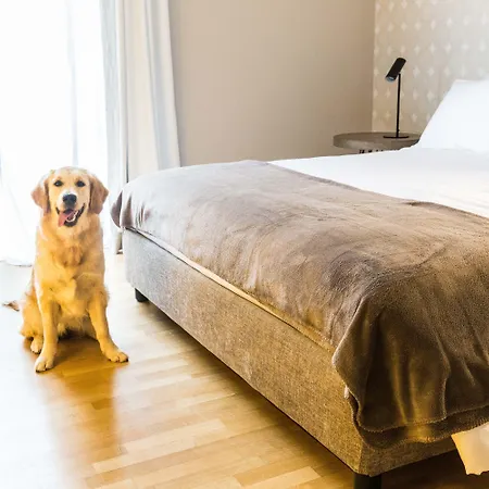 Bed and Breakfast 200 & Terrace Μπάρι