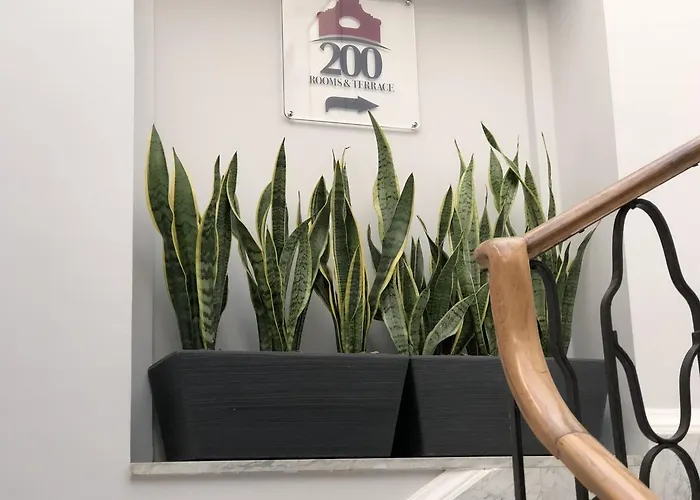 200 & Terrace ベッド・アンド・ブレックファスト