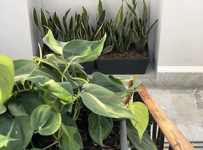 Alojamento de Acomodação e Pequeno-almoço 200 & Terrace 4*