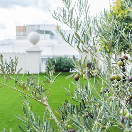 200 & Terrace باري