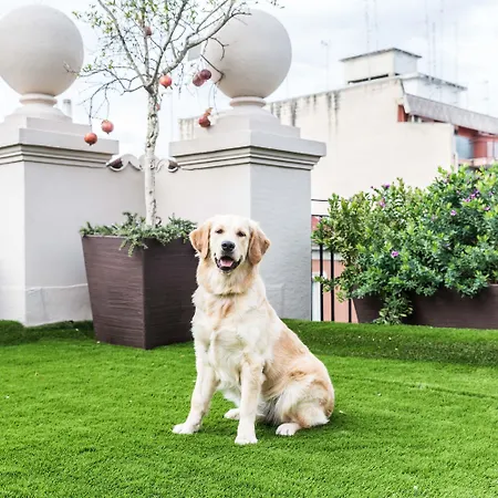 200 & Terrace باري