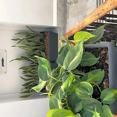 לינה וארוחת בוקר 200 & Terrace 3*