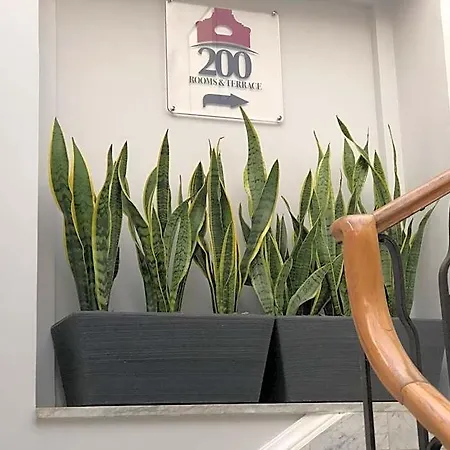 200 & Terrace לינה וארוחת בוקר 3*