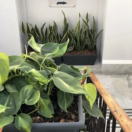 לינה וארוחת בוקר 200 & Terrace 3*