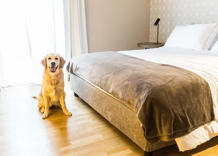 200 & Terrace バーリ