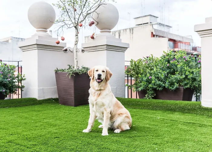 200 & Terrace バーリ