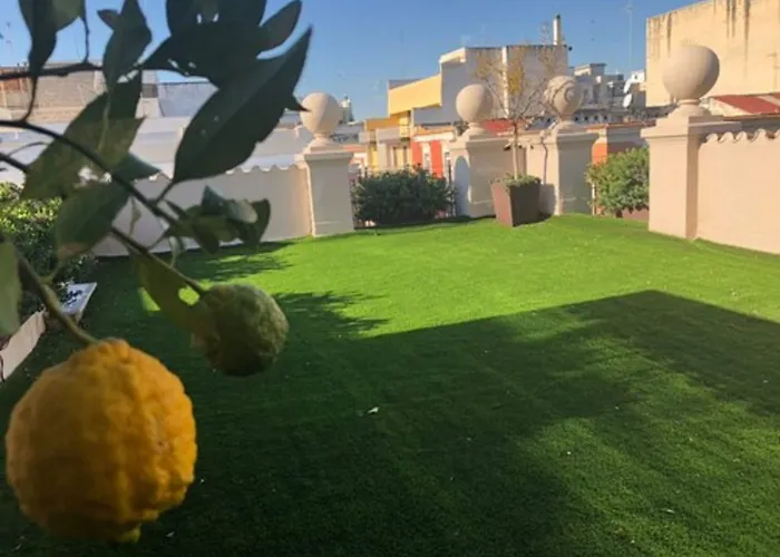 200 & Terrace ベッド・アンド・ブレックファスト バーリ